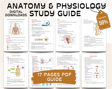 Anatomy Physiology Study Guide Physiology Notes Anatomy Notes Bundle ...