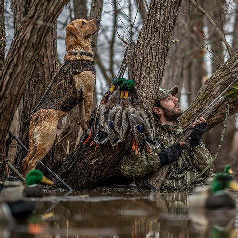 Duck Hunting - Waterfowl Migration | Ducks Unlimited