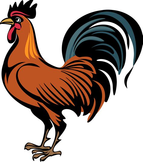 Cock PNG