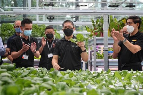 Republic Poly launches new facility to train students in agricultural ...