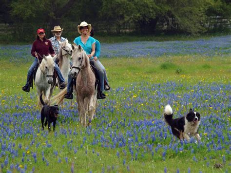 Authentic Texas Getaway : Horseback Riding Vacations