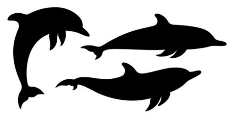 Dolphins Royalty-Free Images, Stock Photos & Pictures | Shutterstock