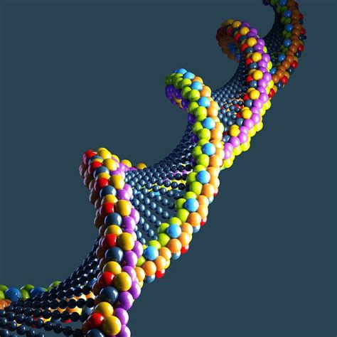 dna 3d model