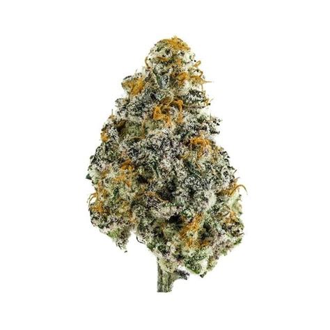 Black Lotus Strain | Medicinal Marijuana Online - Get Black lotus Delivered