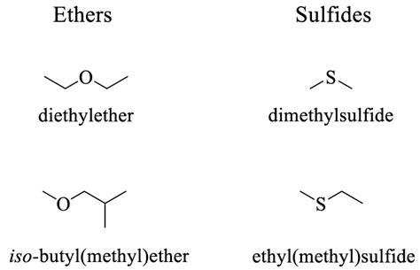 Ether Functional Group Examples