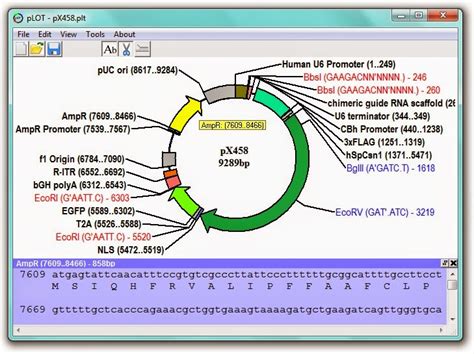 New (free) plasmid mapping program - Molecular Biology