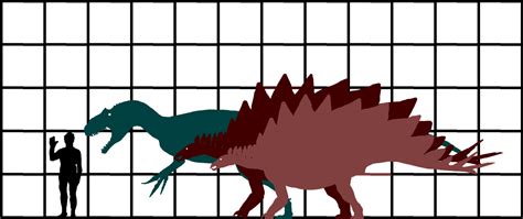 Old: Stegosaurus vs Allosaurus size comparison by Thesporerex on DeviantArt