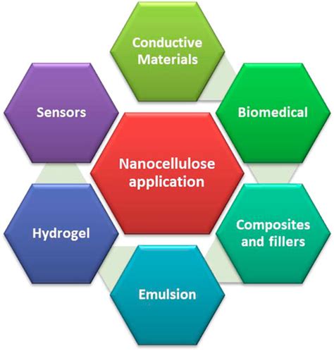 Frontiers | Nanocellulose: Resources, Physio-Chemical Properties, Current Uses and Future ...