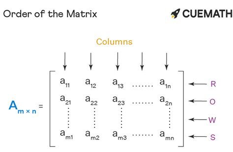 Order of Matrix - Formula, Definition, Types, Examples