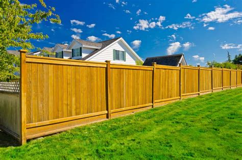 Privacy Fence Ideas and Designs (For Your Backyard)