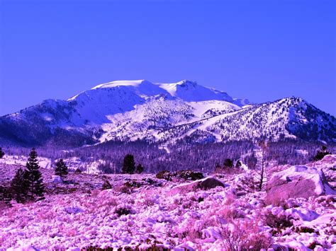 Mammoth 101 tips on living in year round tourist towns