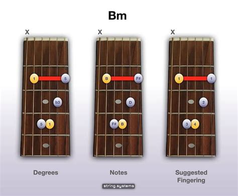 How to play the Bm Chord on Guitar