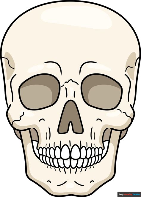 How to Draw a Realistic Skull - Really Easy Drawing Tutorial