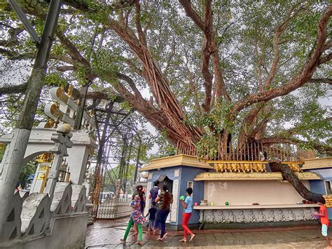 Kalutara Bodhiya - Sri Lanka | Kalutara Bodhiya Budhist Temple | Kalutara Temple