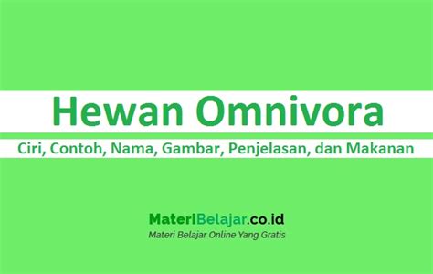 Hewan Omnivora – Ciri, Contoh, Nama, Gambar, Penjelasan, dan Makanan