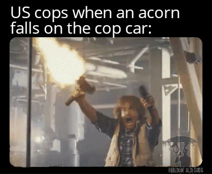 The acorn had a knife! | /r/dankmemes | Florida Acorn Cop Shooting ...