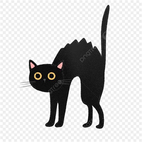 Scared Cat Clipart Transparent PNG Hd, Hand Drawn Cute Scared Black Cat, Scared, Cartoon, Pet ...