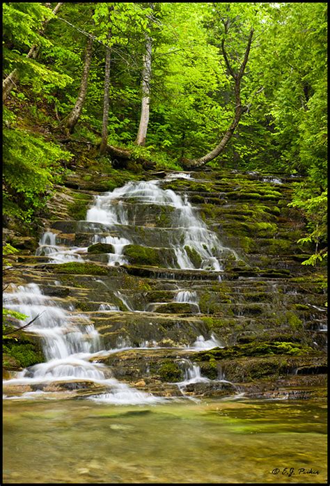 Forillon National Park Page