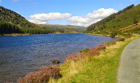 A Redeye View: Llyn Geirionydd & Llyn Crafnant 7-9-2014