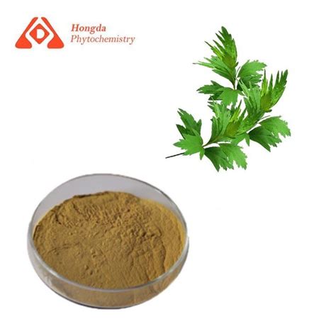 China Artemisia Annua Extract Manufacturers Suppliers Factory ...