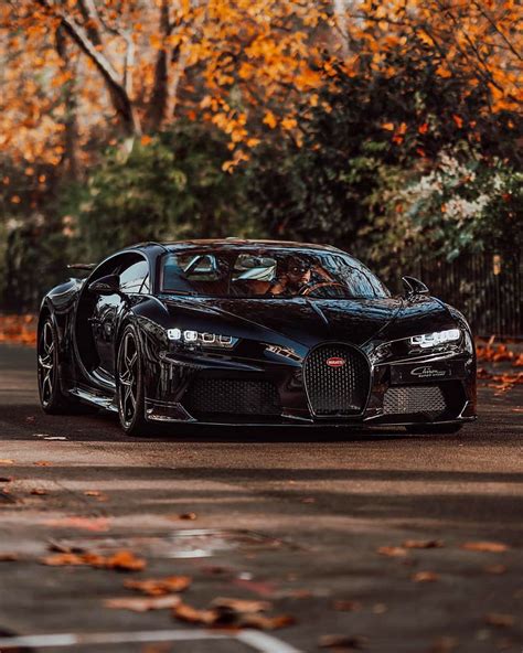 Bugatti - Illuminated by dappled light filteringsh green trees, the ...