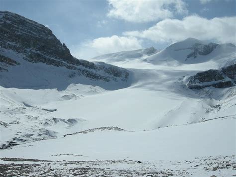 Peyto Glacier