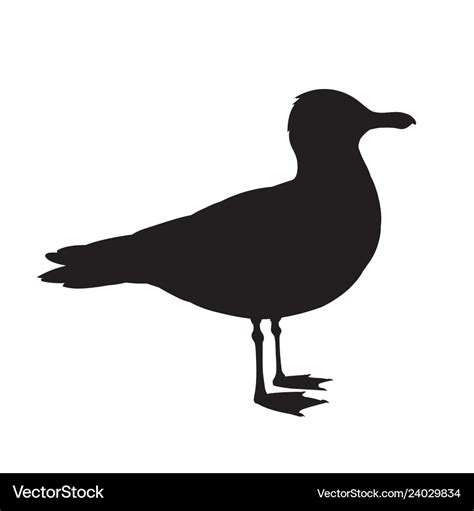 Standing seagull silhouette Royalty Free Vector Image