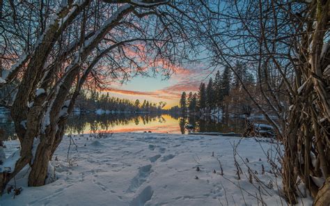 trees, Snow, Winter, Lake, Reflection, Sunset Wallpapers HD / Desktop ...