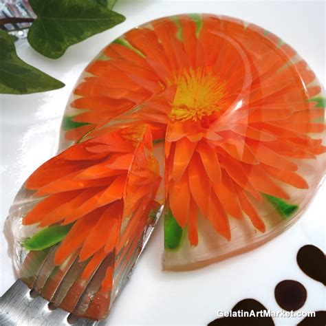 Gelatin Art Starter Kit - No Tools | Gelatin Art Market