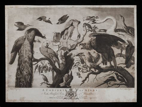 A Concert of Birds | Smithsonian Institution