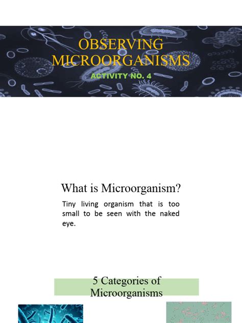 OBSERVING MICROORGANISMS - Hay Infusion | PDF