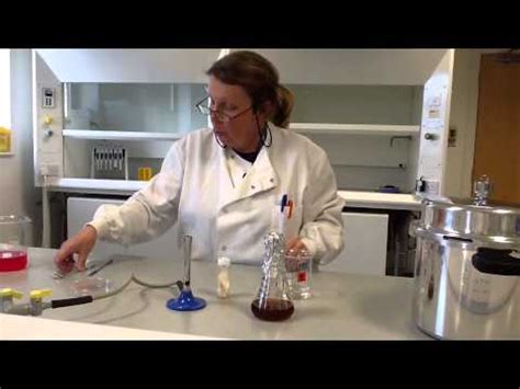 Mycoprotein production in the lab - TS Network - YouTube