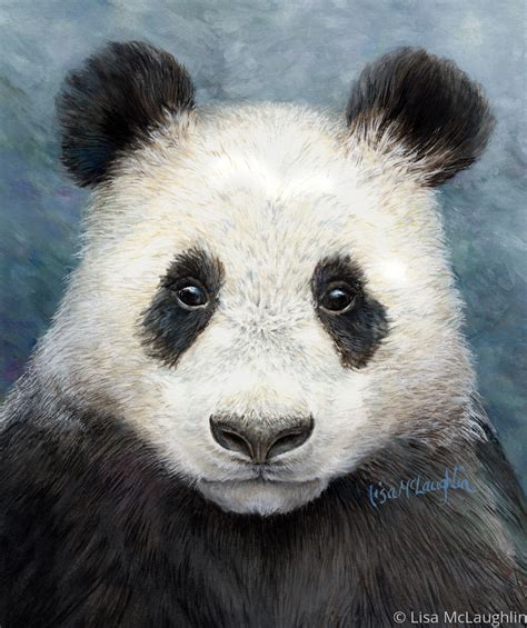 Wildlife Watercolor Paintings: Panda Bear by Lisa McLaughlin