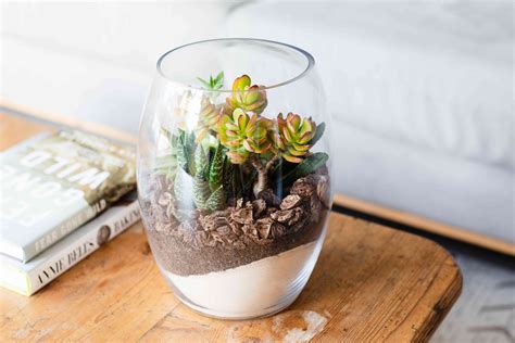 31 Stunning Terrarium Ideas for a Home Garden Under Glass