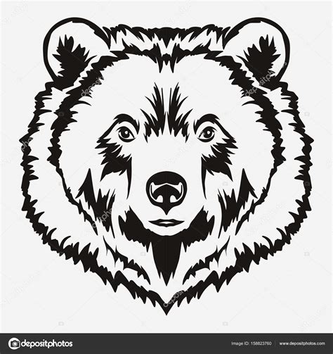 Grizzly Bear Head Drawing at GetDrawings | Free download