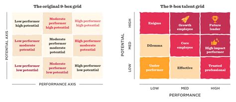 What is the 9-box model or 9-box grid? | HiBob