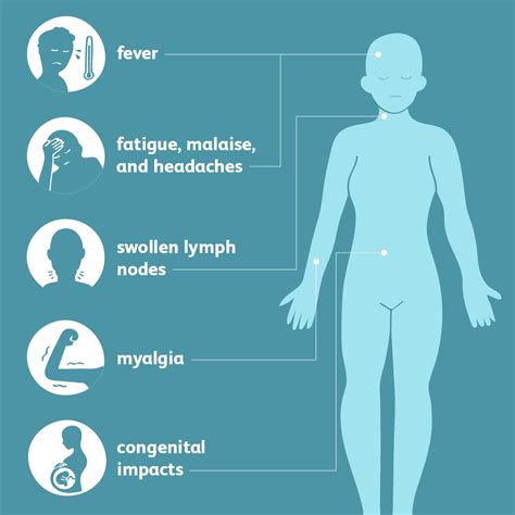 Toxoplasmosis - Symptoms, Causes & Treatment - Santripty