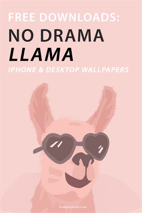 Tech Love: No Drama Llama - Wonder Forest