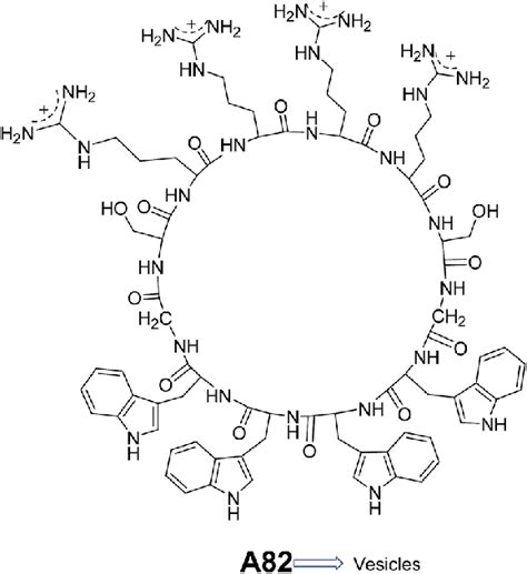 Chemical structure of peptide based cyclic molecule A82. | Download ...