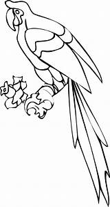 Free Printable Parrot Coloring Pages For Kids sketch template