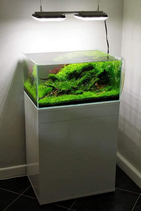 13 Aquarium lighting ideas | aquarium lighting, aquarium, fish tank