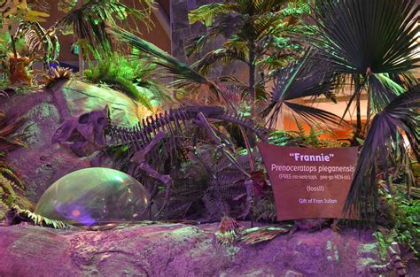 Midwest Family Traveler: Dinosphere at Children's Museum of ...