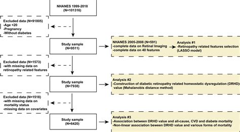 Diabetic retinopathy related homeostatic dysregulation and its ...