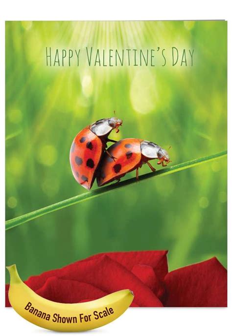 Ladybug Love Red Rocket Valentine's Day Card