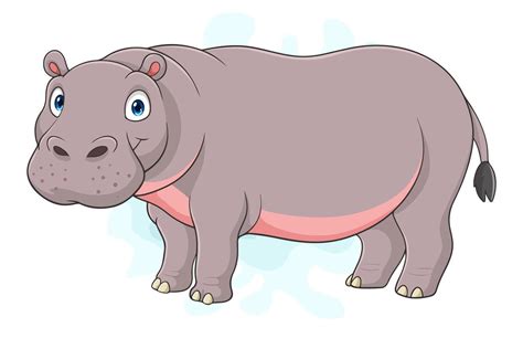 Cartoon hippopotamus on white background 42691518 Vector Art at Vecteezy