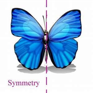 give examples of rotational symmetry, flip symmetry,reflection symmetry ...