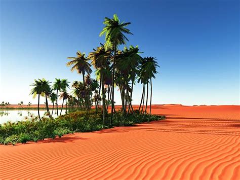 57,600+ Desert Oasis Stock Photos, Pictures & Royalty-Free Images - iStock