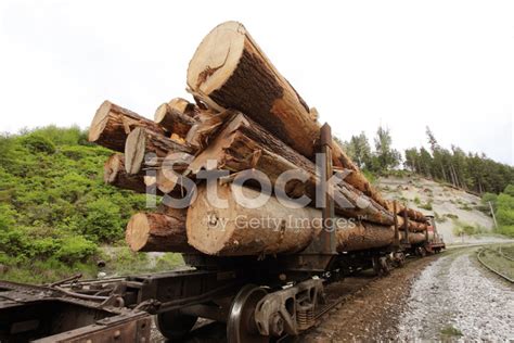 Logging Industry Stock Photo | Royalty-Free | FreeImages