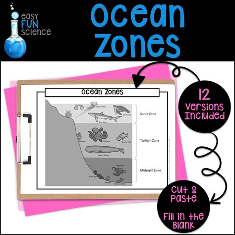 Ocean Zones Diagram | Made By Teachers