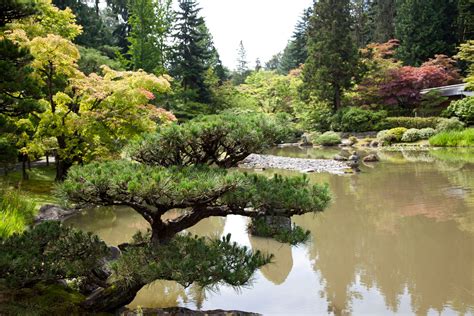 Photos: Japanese Garden at Seattle Arboretum - Paul S. Randal